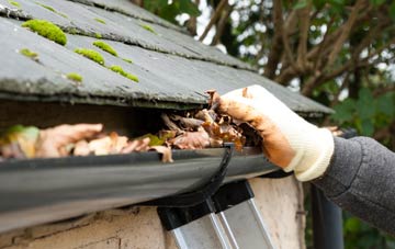 gutter cleaning Burn Of Cambus, Stirling