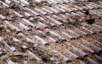 Burn Of Cambus roof cleaning companies