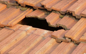 roof repair Burn Of Cambus, Stirling