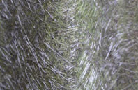 Burn Of Cambus fibreglass roof work